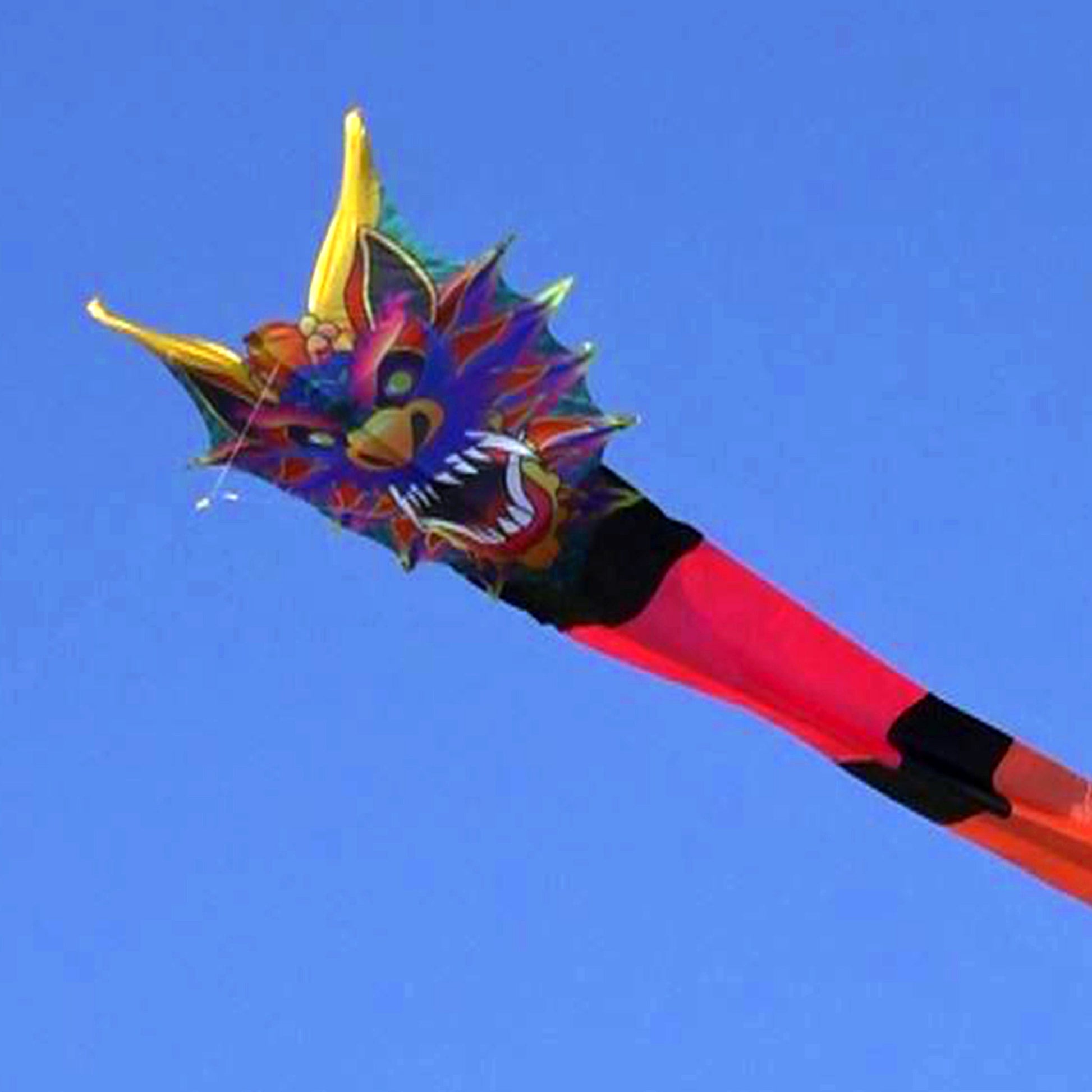 windnsun supersize 3d serpent nylon kite flying