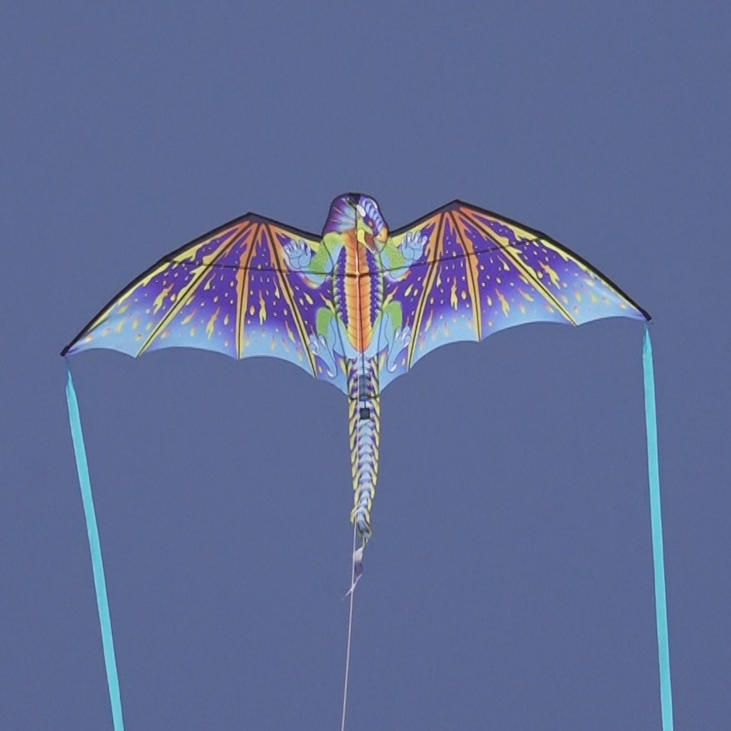 WindNSun SuperSize 2-D Blue Dragon Ripstop Nylon Dragon Kite lifestyle shot