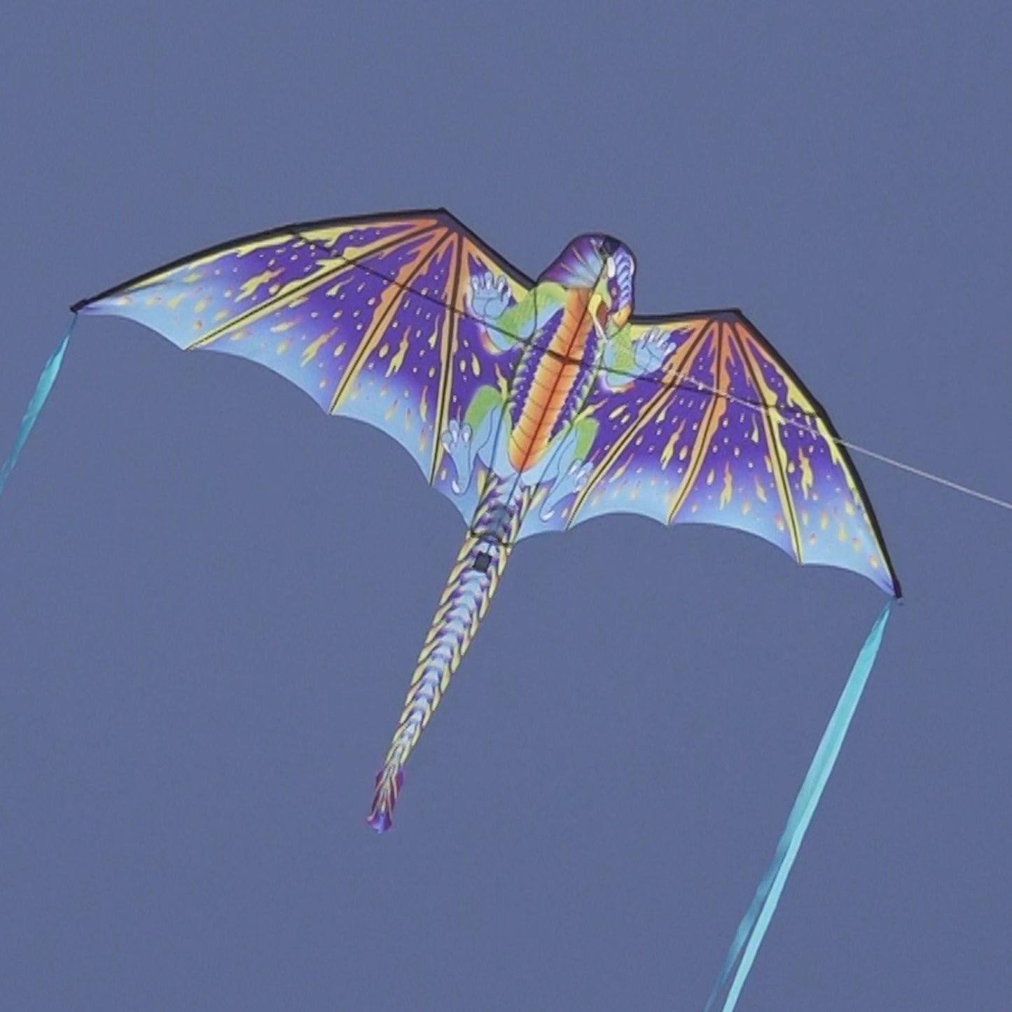 WindNSun SuperSize 2-D Blue Dragon Ripstop Nylon Dragon Kite photo of product in use