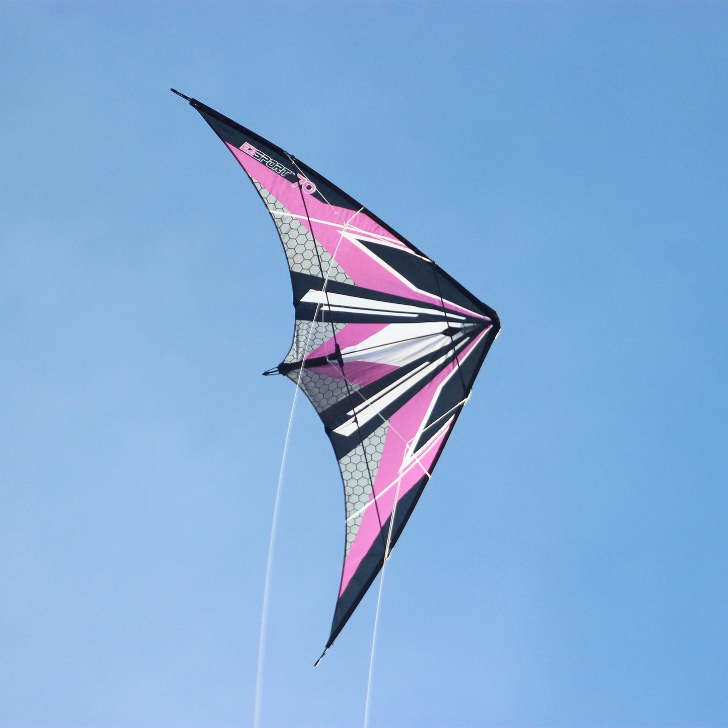 WindNSun EZ Sport 70 Dual Control Sport Kite Purple Hexagon Nylon Kite photo of product in use