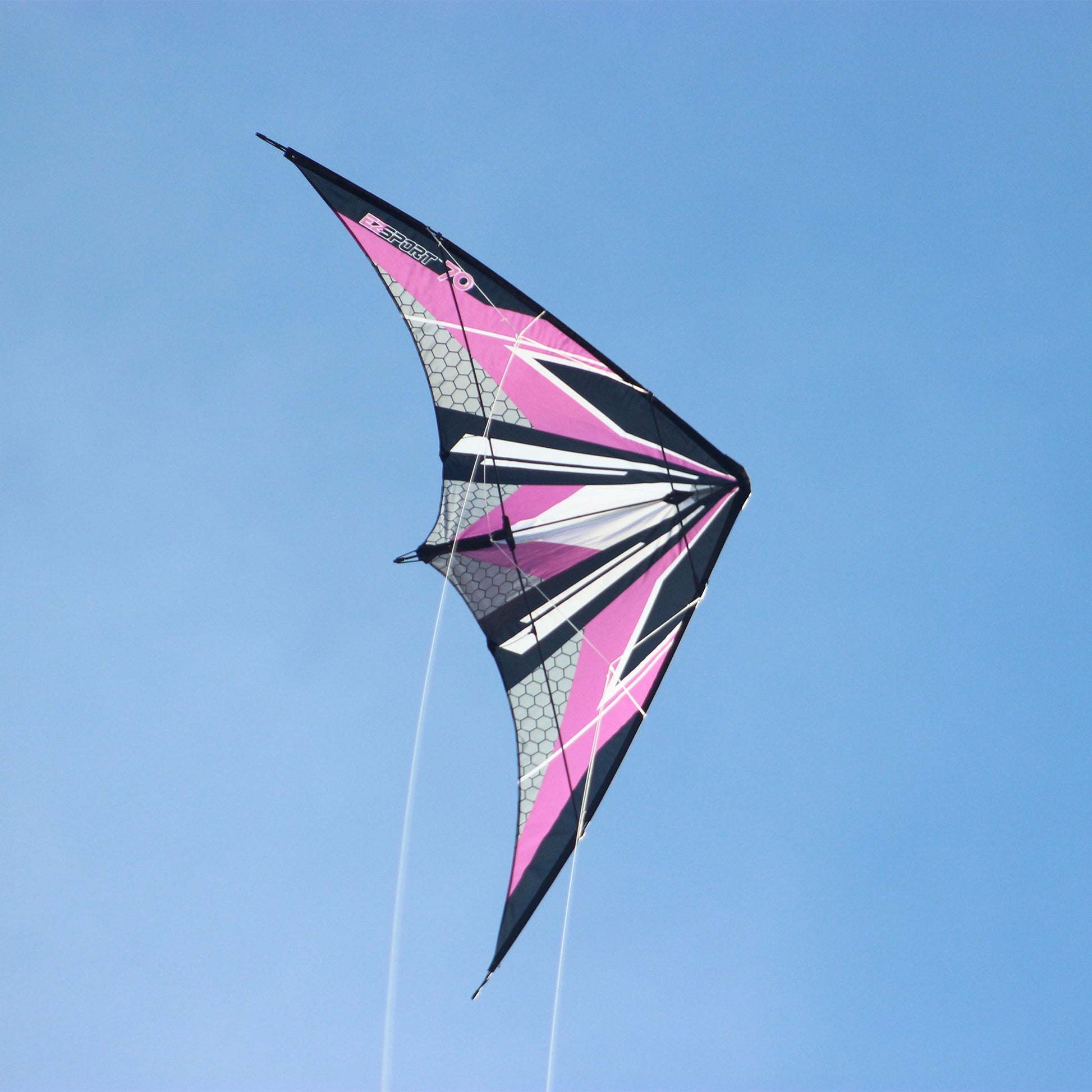 WindNSun EZ Sport 70 Dual Control Sport Kite Purple Hexagon Nylon Kite photo of product in use