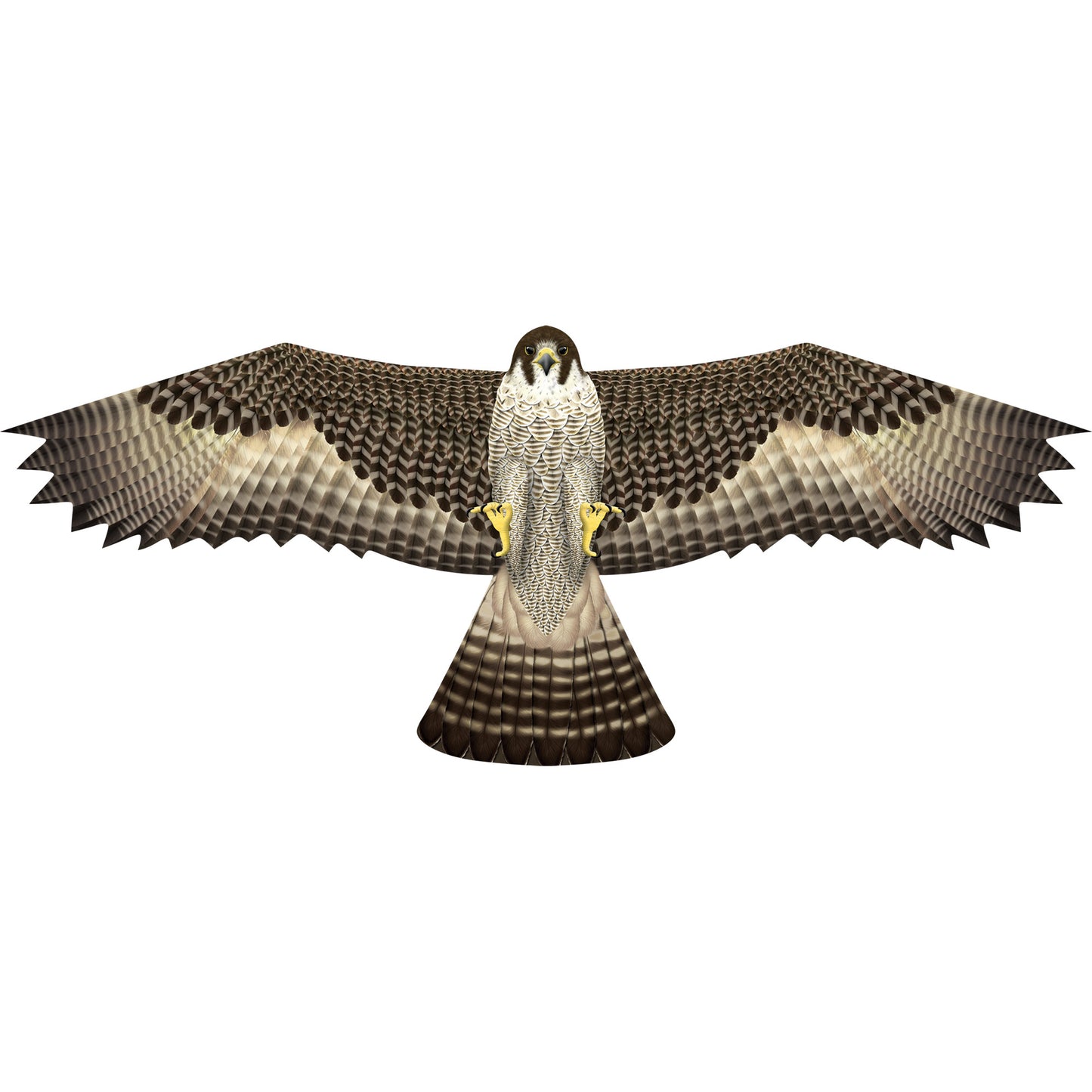 X Kites Birds of Prey Falcon Nylon Bird Kite Product Image