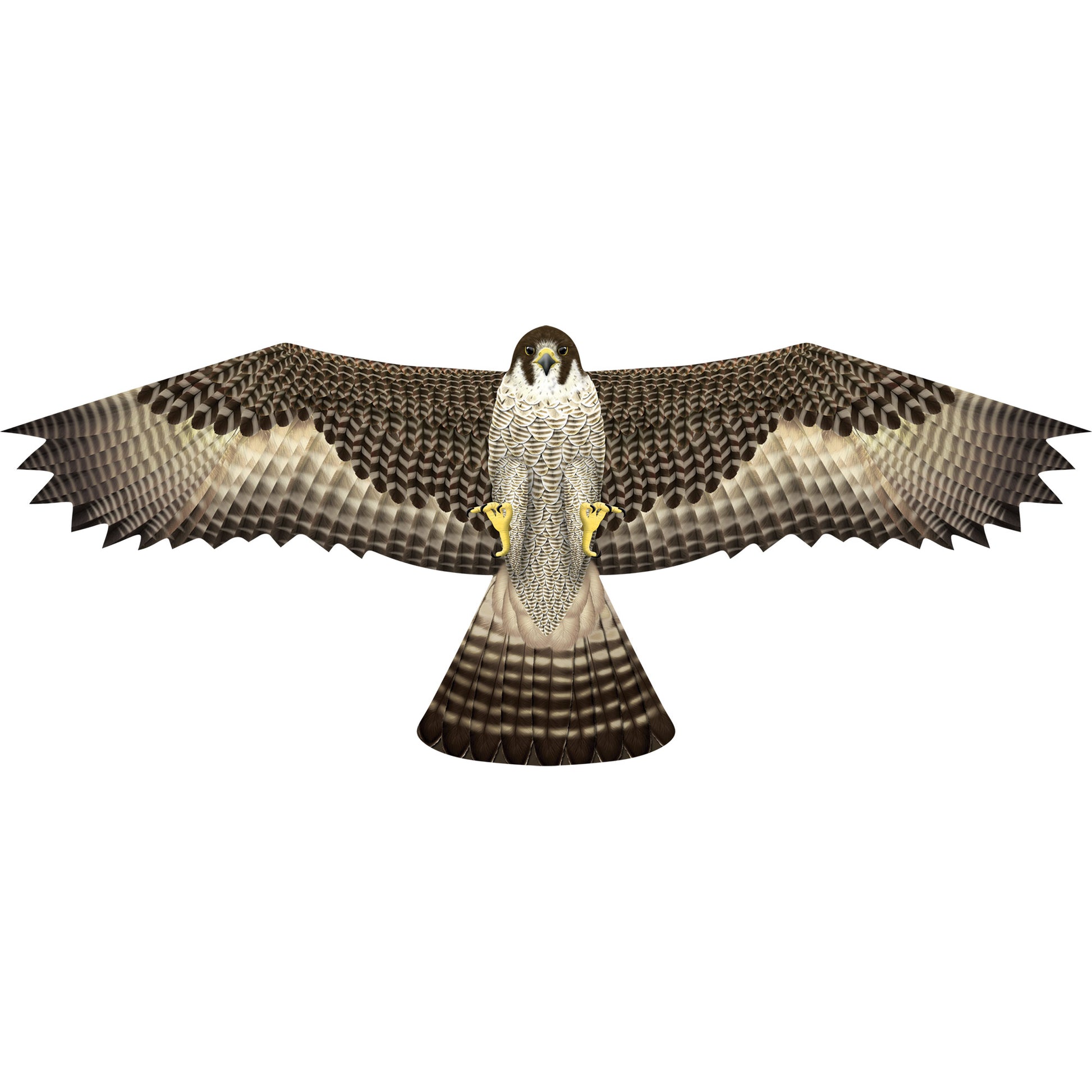 X Kites Birds of Prey Falcon Nylon Bird Kite Product Image