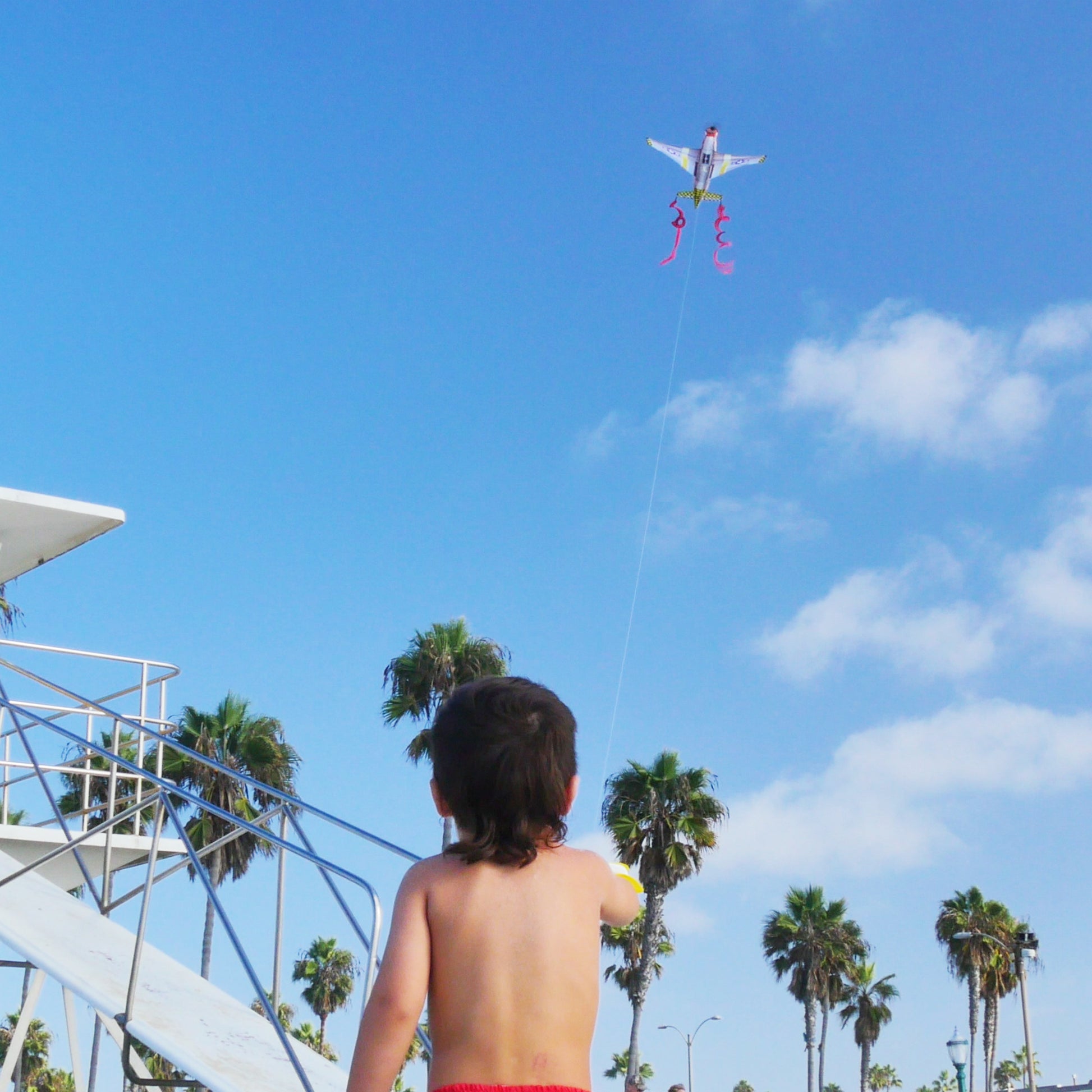 kid flying a 3d mustang kite at the beach