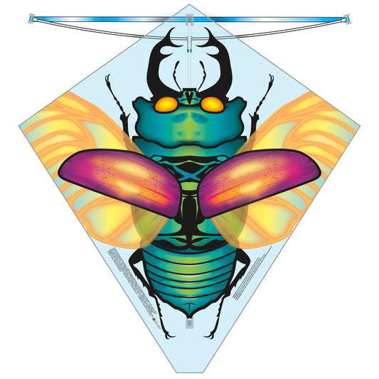 X Kites BuzzKite Beetle Poly Diamond Kite Product Image