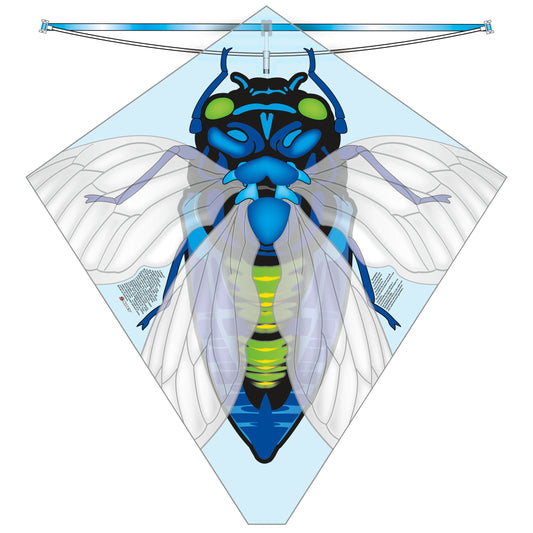X Kites BuzzKite Cicada Poly Diamond Kite Product Image