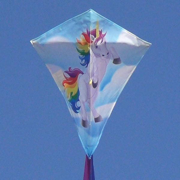 windnsun minidiamond unicorn nylon kite flying