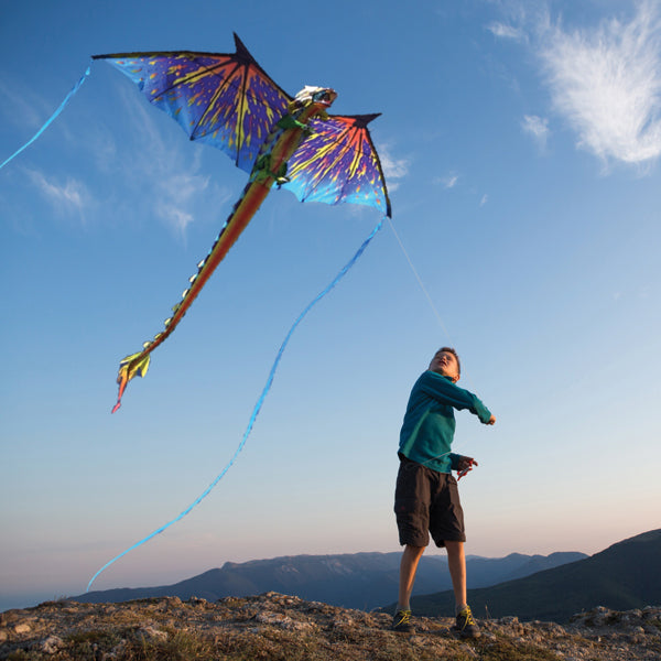 boy flying 3d dragon kite at the mountains