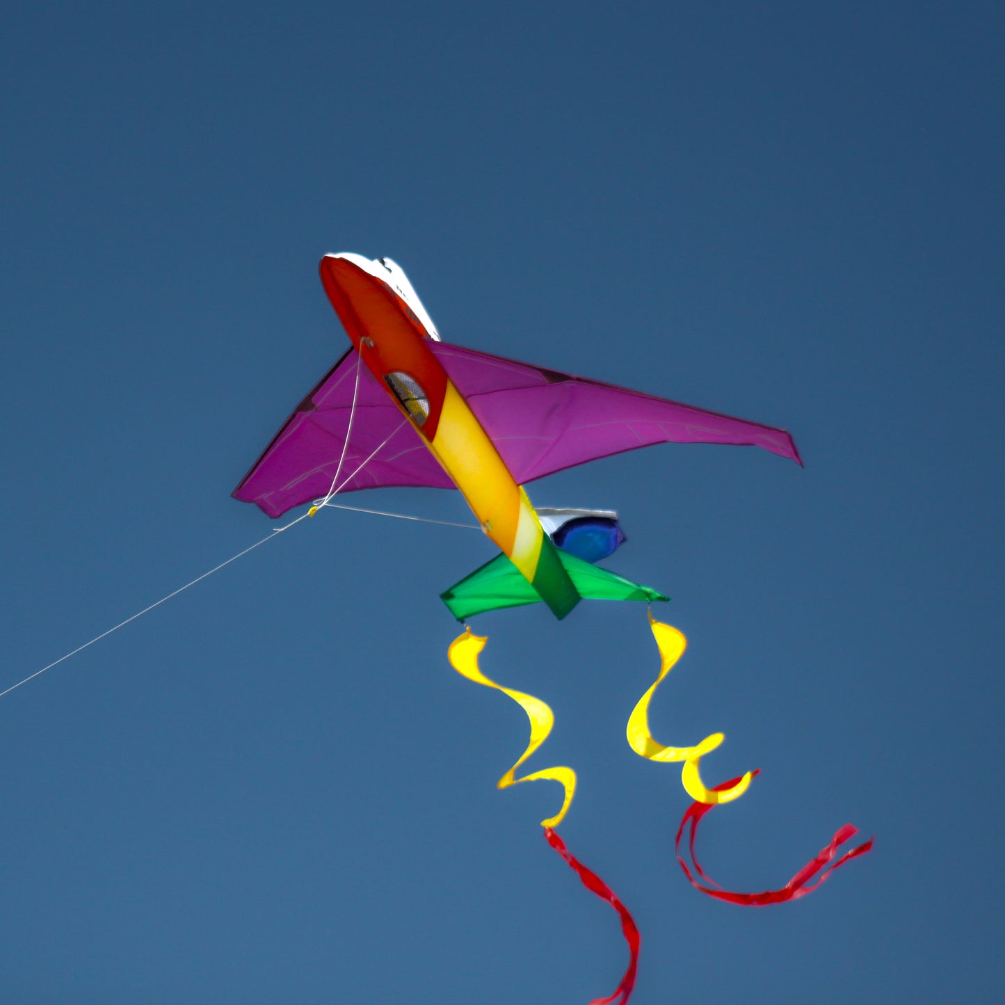 X Kites Jumbo Jet 3D Kite In Flight