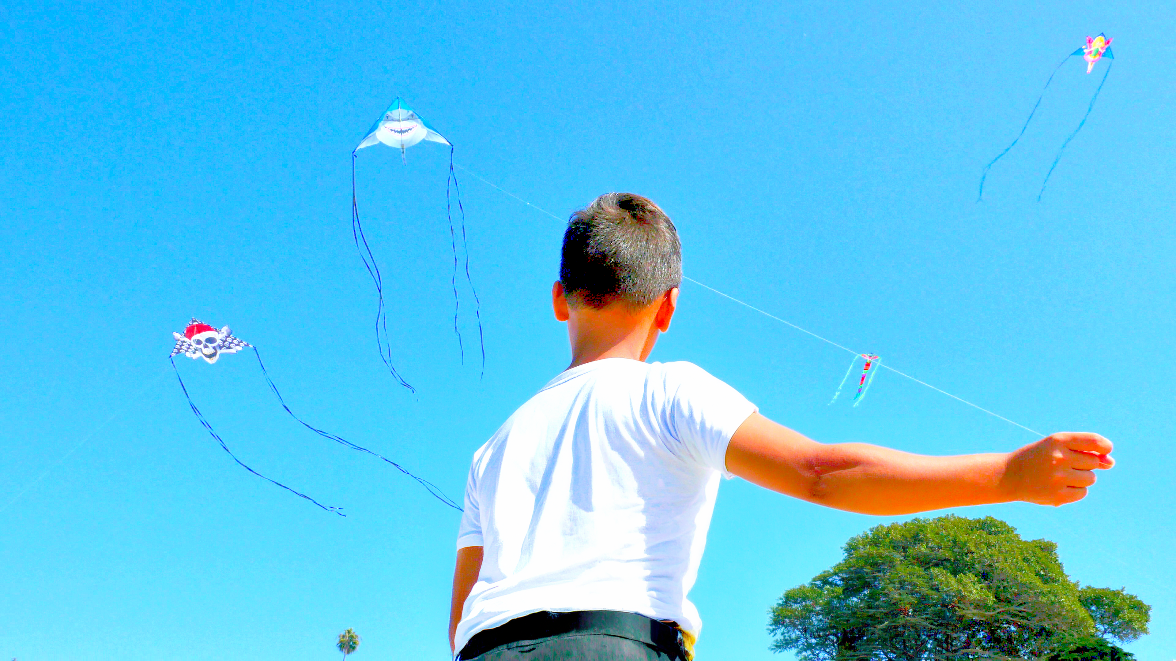 A child flying colorful X Kites under a bright blue sky
